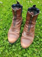 Ariat Reitschuhe (für chaps) in braun, Größe  40 Kreis Pinneberg - Elmshorn Vorschau