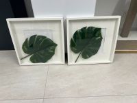 2x Bilderrahmen Ikea Ribba 52x52 cm Rheinland-Pfalz - Daun Vorschau