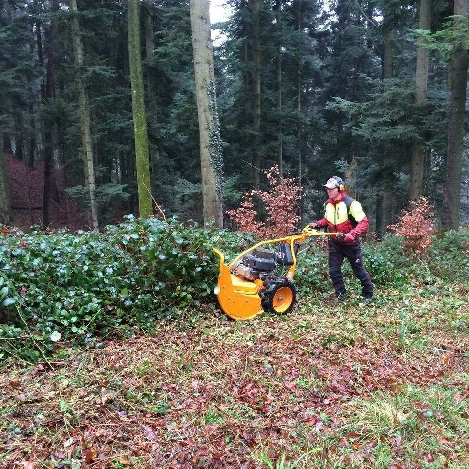 Baumfällung, Rodungen, Wald- & Forstarbeiten, Landschaftpflege in Bad Schussenried