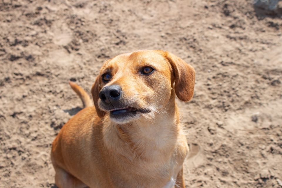 Sandy sucht ihr Glück für immer ! in Malente