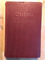 Brehms Tierleben 1924 Säugetiere Band 3 mit Bildtafeln Köln - Ehrenfeld Vorschau