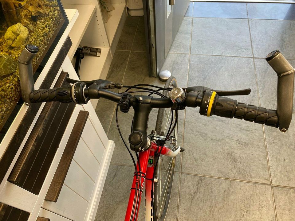 Schönes Gepflegtes Peugeot Rennrad 28Zoll 55RH 14Gang in Herne