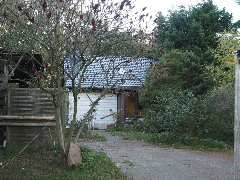 Kleines Einfamilienhaus auf großem Grundstück mit altem Baumbestand in Rosche