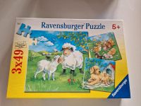 Ravensburger Puzzle ab 5 Jahren  Tiere 3×49 Teile Bayern - Stegaurach Vorschau