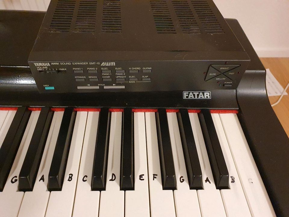 Keyboard/Piano- Fatar Studio 900 in Waldbronn