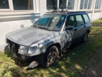 Subaru Forester Teile oder komplett Rheinland-Pfalz - Münstermaifeld Vorschau