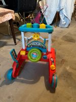 Fisher Price Lauflernwagen Hessen - Bad Vilbel Vorschau