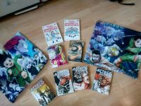 Bücher+Kissenbezüge Manga Leipzig - Altlindenau Vorschau