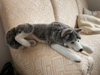 Original Kösen Husky Hund Wolf liegend Bielefeld - Joellenbeck Vorschau