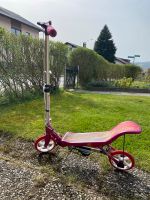 Wipproller SpaceScooter Bayern - Zwiesel Vorschau