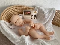 Realborn Landon awake, Reborn Bausatz / Rohling / Kit Baden-Württemberg - Rheinfelden (Baden) Vorschau