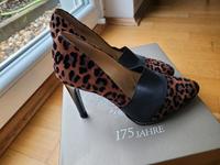 High Heels Peter Kaiser Pumps Bonn - Auerberg Vorschau