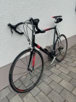 Rennrad Koga Miyata, Rahmen 66, Alu/Carbon, fast neuwertig Rheinland-Pfalz - Görgeshausen Vorschau