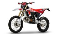 FANTIC XE300 2024 INKL. XTRIG / ENDURO / FINANZIERBAR Niedersachsen - Bramsche Vorschau