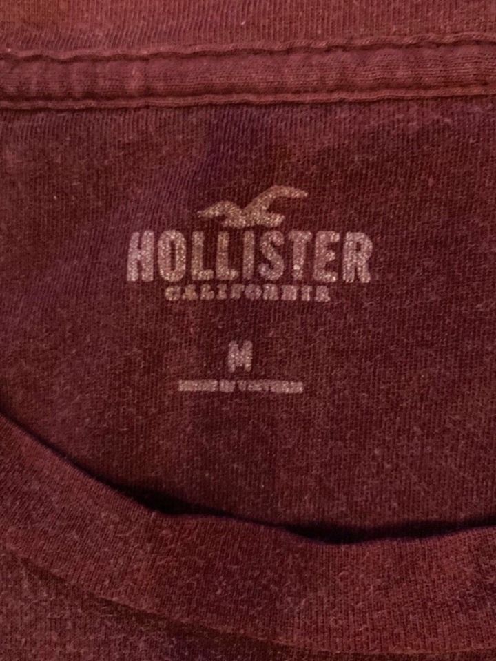 T Shirt / Shirt Hollister in Haiterbach