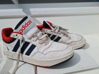 ADIDAS SNEAKER HOOPS 3.0 K Baden-Württemberg - Nürtingen Vorschau