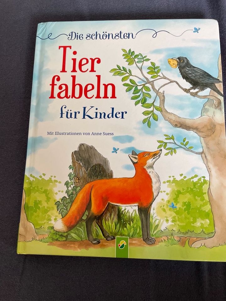 Kinder Bücher TipToi Conny Laura Peppa Wutz Lillifee in Siegburg