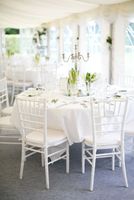 Tiffany | Chiavari Stühle | Hochzeit | Trauung | Weiß I Mieten Hessen - Darmstadt Vorschau