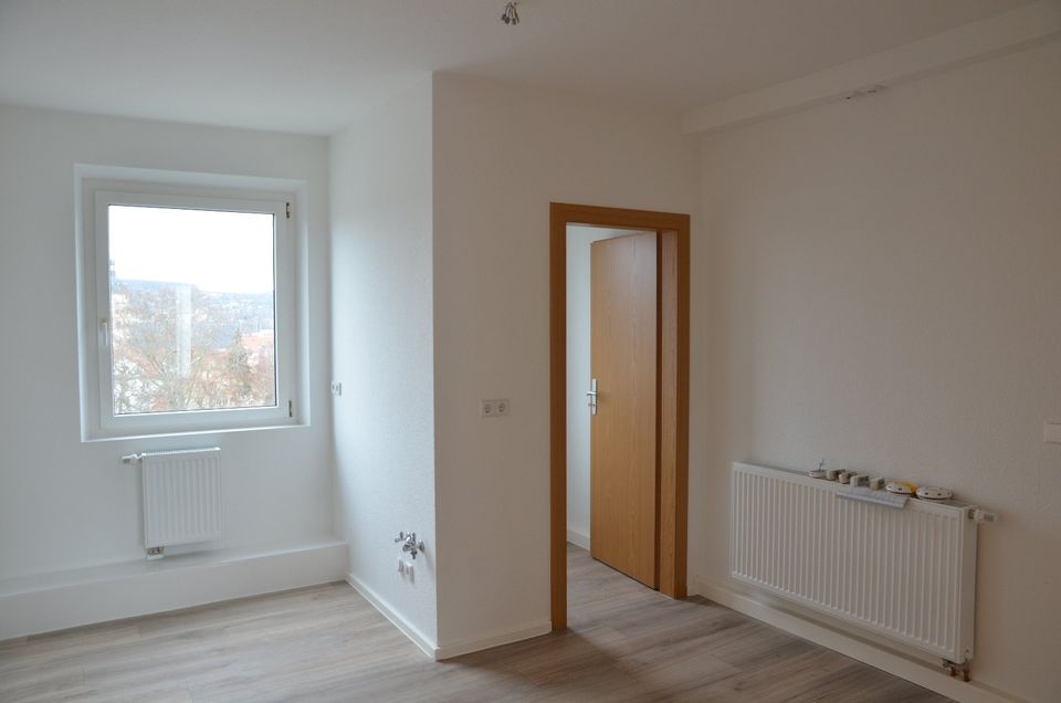 Wir sanieren für Sie! Große 2-Raumwohnung im modernen Stil in Sangerhausen