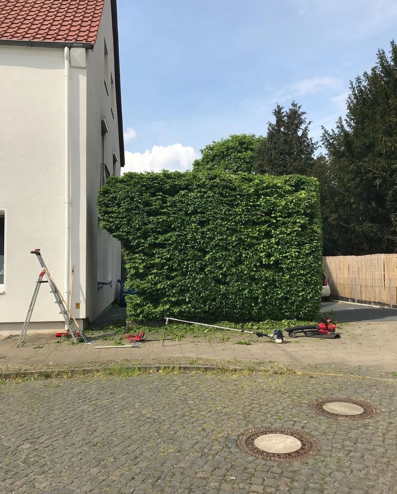Gartenpflege /Baumschnitt /Gartenarbeit ✅ in Braunschweig