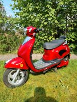 Elektro Roller Moped EcoFlash 2000 Eco Flash 2000 Niedersachsen - Tostedt Vorschau