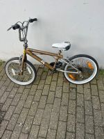 Fahrräder bmx Wuppertal - Langerfeld-Beyenburg Vorschau