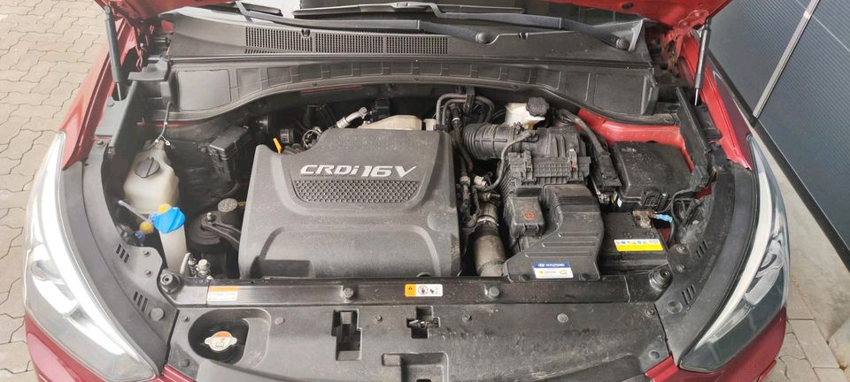 Hyundai Santa Fe Blue 2.2 CRDi Premium 4WD Automatik in Goch