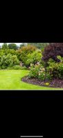 Suchen kleinen Garten Kauf oder mieten ☘️☘️☘️ Niedersachsen - Osterode am Harz Vorschau