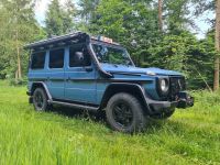 Mercedes G-Klasse Professional 300CDI MOTOR NEU! W461 Schleswig-Holstein - Trappenkamp Vorschau