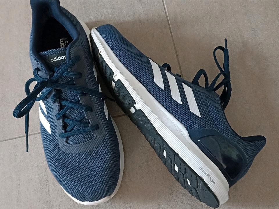 Adidas b4488 shop