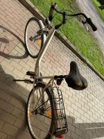 Frauen Fahrrad Sachsen - Schildau Vorschau