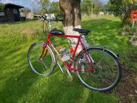 Fahrrad mit Benzinmotor Baden-Württemberg - Freudenstadt Vorschau