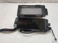 Motor-Kühler-Radiator Honda VT700.( RC19 ) Voll Funktionsfähig Leipzig - Liebertwolkwitz Vorschau