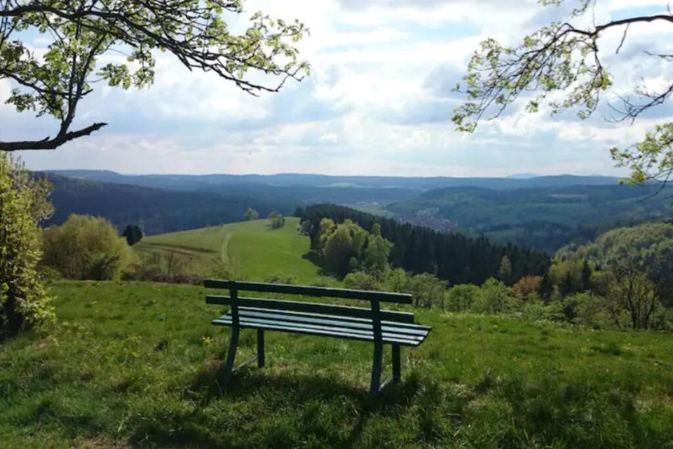 Ruhiges Ferienhaus am Waldrand mit Sauna und Kamin (Hellaberg II) in Schönbrunn (bei Hildburghausen)