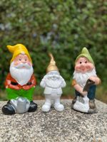 Garten Terrasse Dekor Figuren Gartenzwerge Brandenburg - Schwedt (Oder) Vorschau