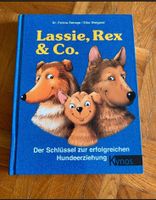 Hundeerziehung- Buch für Kinder Baden-Württemberg - Oberteuringen Vorschau