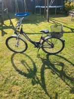 Pegasus Mädchen Fahrrad 26 Zoll Nordrhein-Westfalen - Pulheim Vorschau