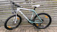 Scott Contessa 20 Mountainbike XL Alu 27 Gang 26Zoll Hessen - Mücke Vorschau