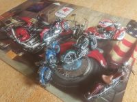 Harley Davidson,Indian,Motorrad,Modelle,Franklin Mint Baden-Württemberg - Baienfurt Vorschau