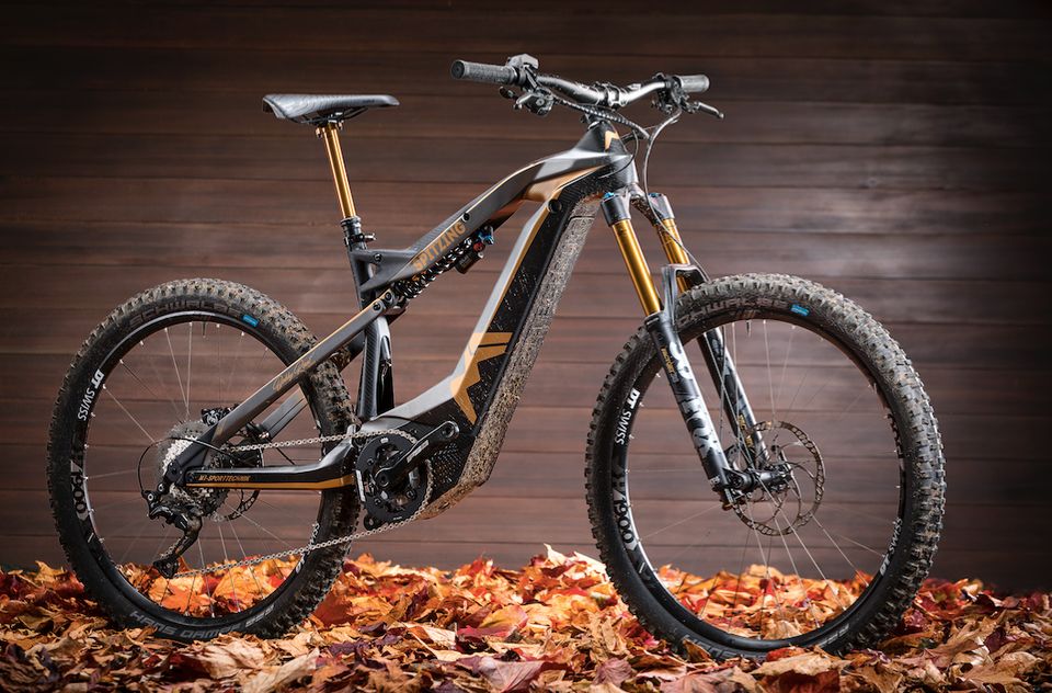 M1 Spitzing Bobby Root mit TQ Motor u 1050Wh Akku, E-Bike in Marktredwitz