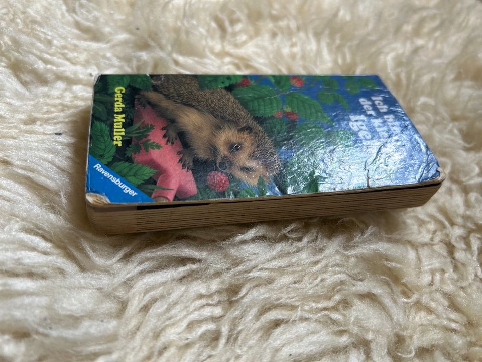 Buch Mini Pappbilderbuch Ich bin der kleine Igel Ravensburger Mul in Wuppertal