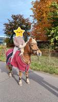 Reitbeteiligung auf Pony Schleswig-Holstein - Norderstedt Vorschau