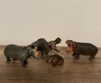 Schleich Tiere 4x Nilpferd Herde offenes Maul mit Jungtier Baby Nordrhein-Westfalen - Rahden Vorschau