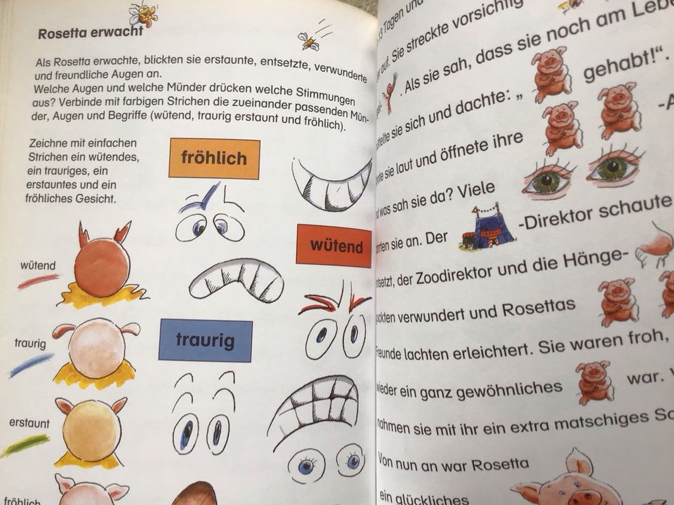 Das Schweinchen Rosetta 1. Lesespaß Spiel-& Lesereise Grundschule in Hackenheim