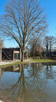 Traumhaftes Ferienhaus mit Meerblick am Veluwemeer für 6 Personen Nordrhein-Westfalen - Gelsenkirchen Vorschau