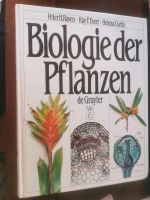 Biologie der Pflanzen Peter H Raven, Ray F Evert, Helena Curtis Bochum - Bochum-Ost Vorschau