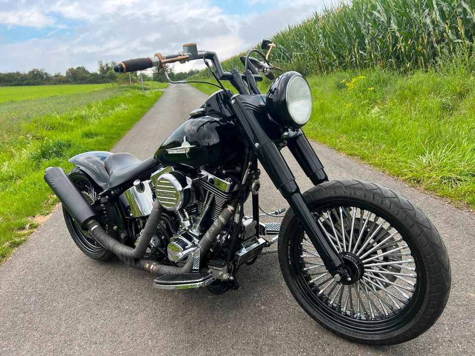 Harley-Davidson FXST Custom Umbau in Höxter