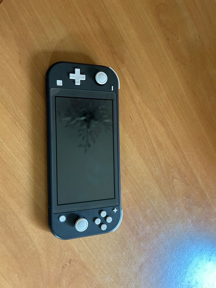 Nintendo Switch lite in Emstek