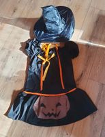 Helloween Kostüm, Kleid Gr. L Kürbis, Hexe Sachsen - Neukirchen/Pleisse Vorschau