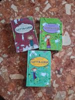 Lotta Leben Bücher Set 3er Sachsen-Anhalt - Osternienburger Land Vorschau